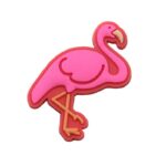 Ostrich Animal
