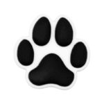 Black Dog Paw Animal